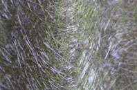 Burwarton fibreglass roof work